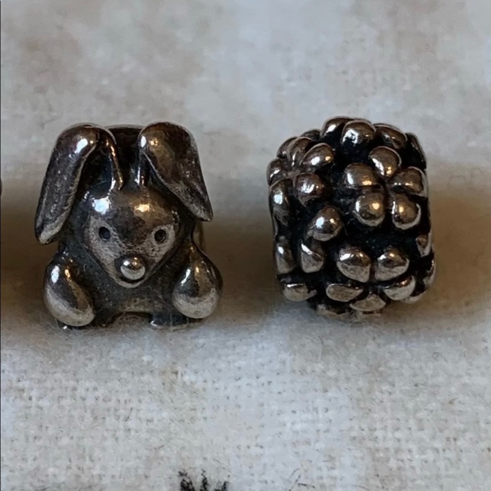 Bundle of 2 Pandora Charms
